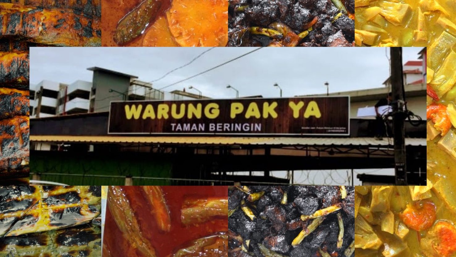 Beringin Tomyam 1 beringin tomyam