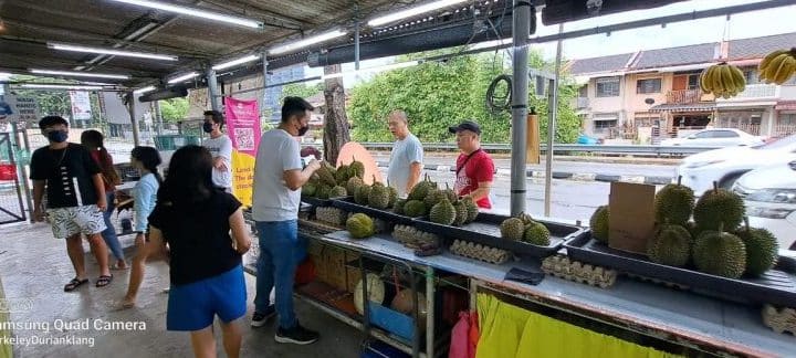 Berkeley Durian Klang 1 berkeley durian klang