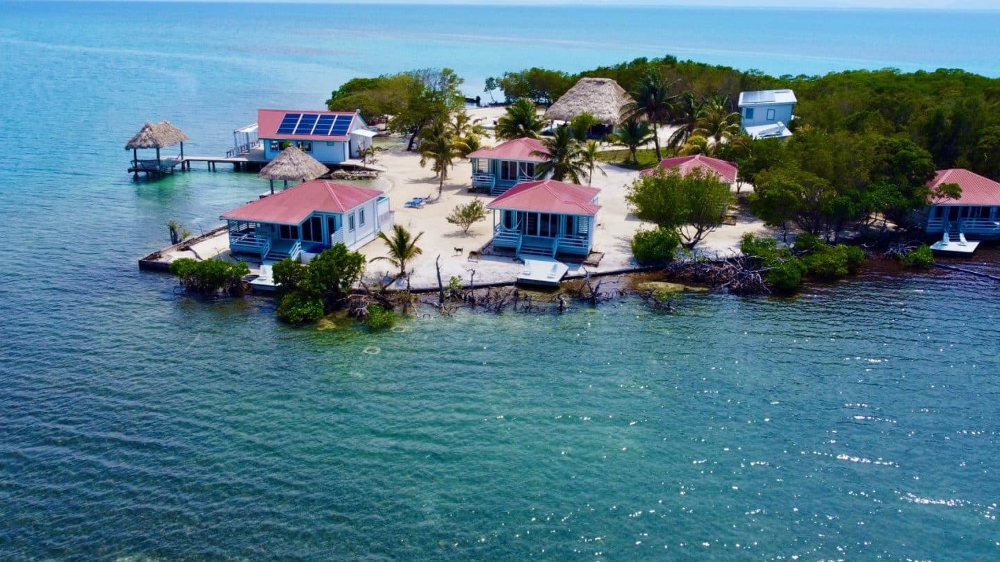 blue reef