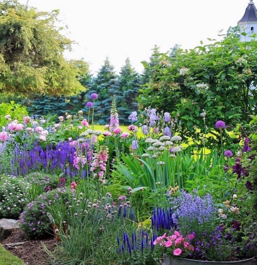 cottage garden