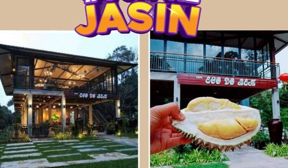 Eco Do Bem Cafe & Durian Park 1 eco do bem cafe durian park