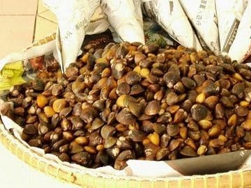 Etok salai sedap kota Bharu 1 etok salai sedap kota bharu