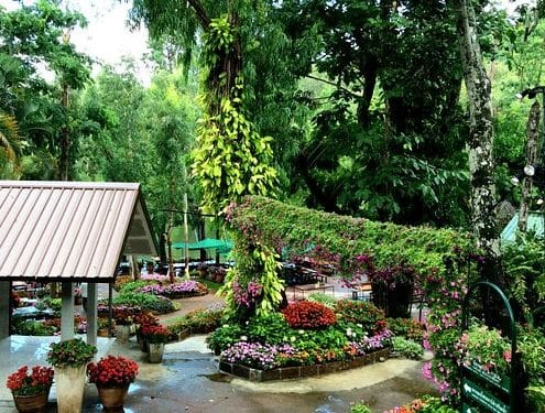 Garden View Restaurant 1 garden view restaurant