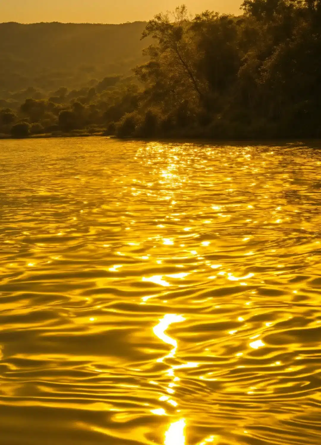 Golden River 1 golden river