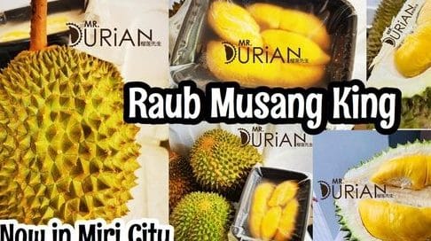 Musang King Raub Restaurant 1 musang king raub restaurant