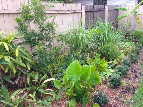 thai food garden
