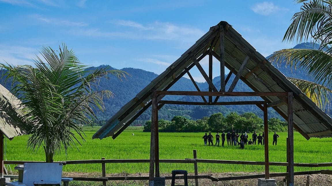 warong bangau sawah nasi ganja