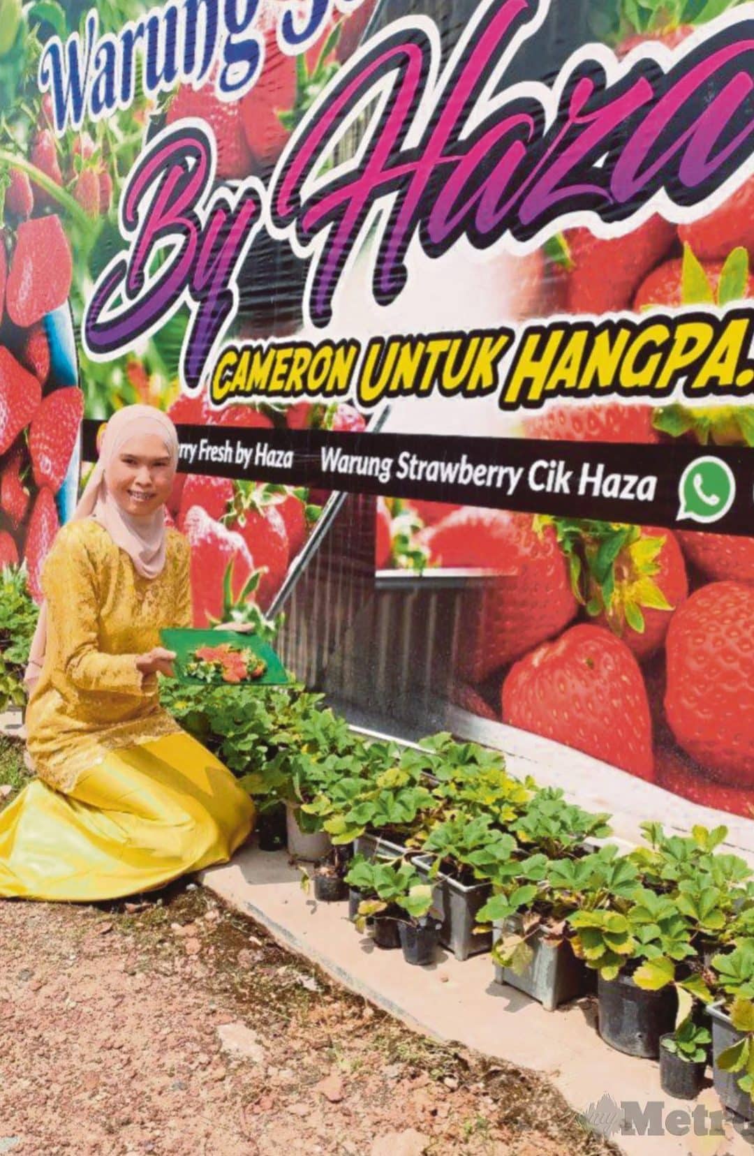 Warung Strawberry Cik Haza 1 warung strawberry cik haza